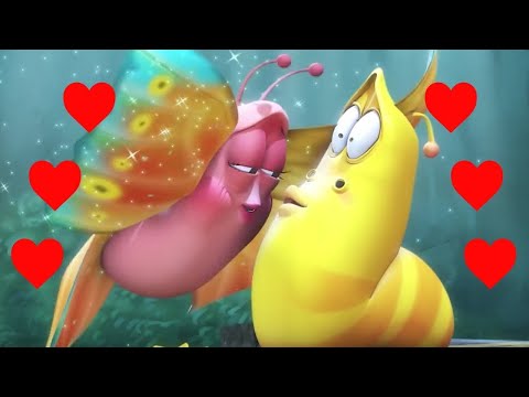 LARVA - LARVA SAINT VALENTIN | Larva 2019 | Dessins Animés Pour Enfants | WildBrain