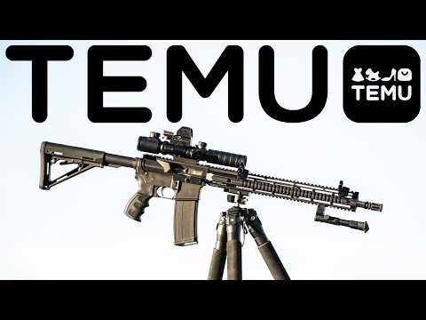 Temu AR Budget Build ($116)