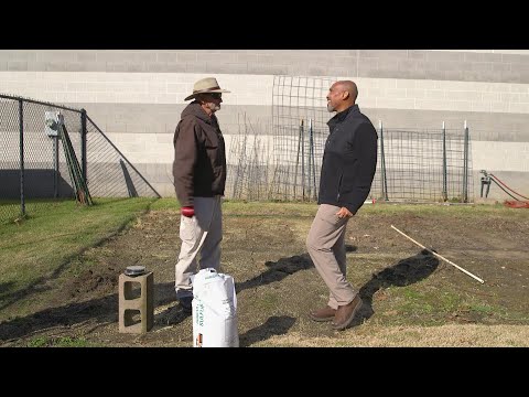 The Family Plot - January 31, 2026