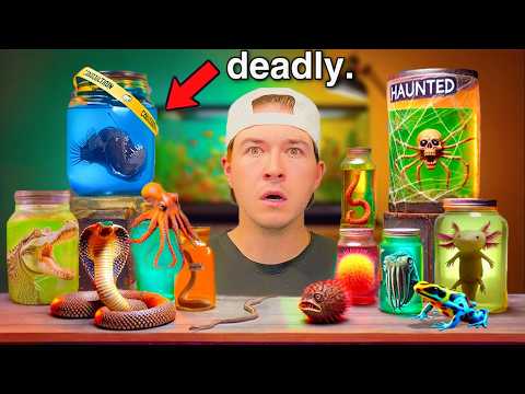 Don’t Buy Live Fish Off The Dark Web…