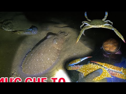 Night Diving Hits a Big Catch of Squid and Super Big Blue Crabs That Look So Fascinating | Episod...