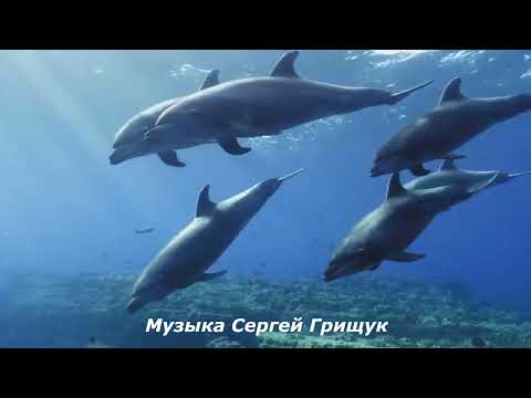 Коллекция красивой инструментальной музыки для успокоения и внутренней гармонии #КРАСИВАЯМУЗЫКА