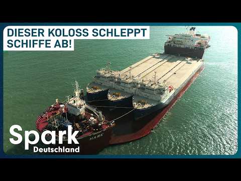 Megamaschinen auf hoher See: Wie werden RIESIGE Schiffe transportiert?