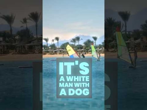 New Bums #hopecore #hope #core #funny #standupcomedy #newyork #bums #queens #dog #homeless #rent #fy