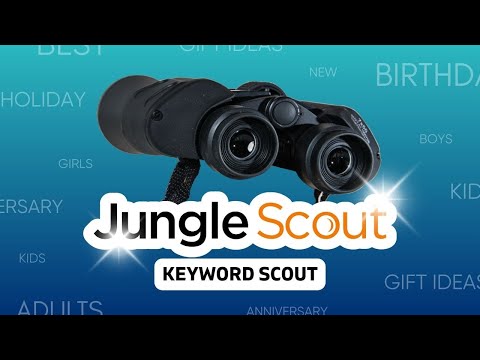 How to Find High-Converting Amazon Keywords with JungleScout Keyword Scout