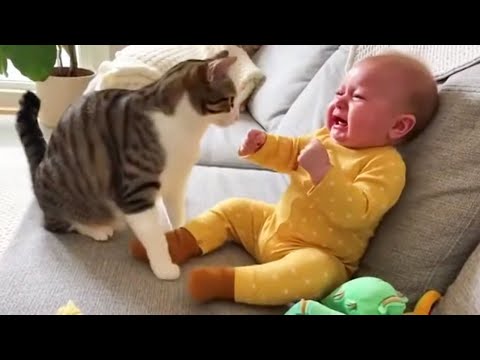 Cat Tries to Stop Crying Baby! โค๏ธ The Most Heartwarming Moment