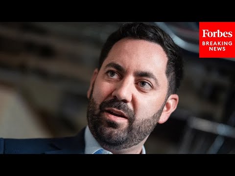 Mike Lawler Questions Witnesses About Transnational Repression Efforts In The US & Elsewhere