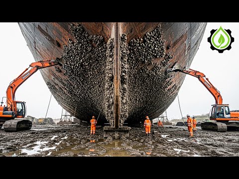 Jaw-Dropping Excavator Operator Skills So Crazy You’d Think They’re Fake! #73
