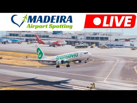 LIVE Action at Madeira Island Airport 23.12.2025