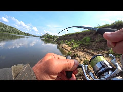 ПОДГЛЯДЕЛ ПРОВОДКУ и ОФИГЕЛ от РЕЗУЛЬТАТА Рыбалка на судака и щуку в 2023