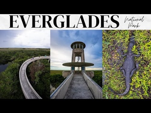 Everglades National Park Travel Guide: 1 Day Exploring the Park's Trails, Tours & Wildlife