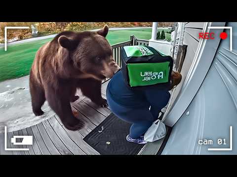 Delivery Drivers vs Animals | When Things Go Wrong