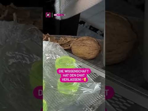 Hoffentlich war keine hohle Nuss dabei... 🥜🚫 | Die Geissens #shorts #448