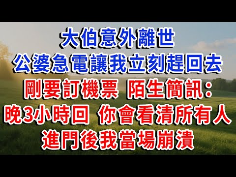 大伯意外離世,公婆急電讓我立刻趕回去,剛要訂機票,陌生簡訊:晚3小時回!你會看清所有人!進門後我當場崩潰!#琴琴講故事 #為人處世#生活經驗#情感故事#晚年哲理#說故事#完結文