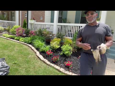 TRANSFORM YOUR FRONT YARD ON A BUDGET I STUNNING CURB APPEAL