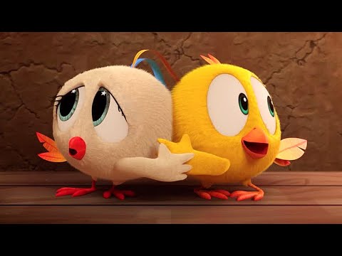Mini Adventurers | Where's Chicky? | Cartoon Collection in English for Kids | New episodes