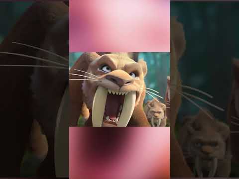 'Theres a Bee Hive' Boonie Bears Blast into Past