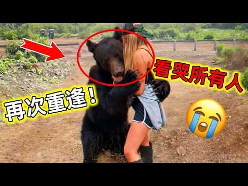 原來動物也是有靈性的,多年後再次遇見恩人意想不到的事情發生了#動物與人類重逢 #動物的迷惑行為 #動物 #動物世界 #動物感人瞬間 #動物感人故事 #世界之最 #王宇觀地球