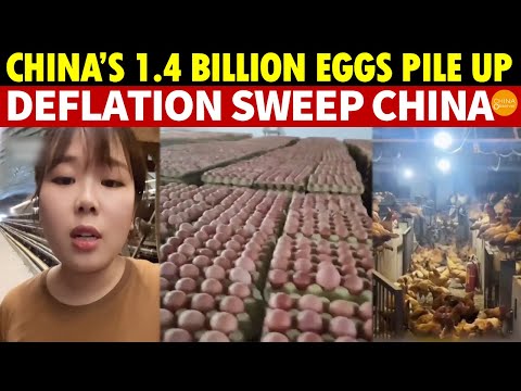 China’s 1.4 Billion Eggs Pile Up, Prices Crash—Internal Competition and Deflation Sweep China