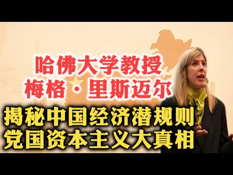哈佛大学教授梅格·里斯迈尔谈中国经济潜规则!党国资本主义大真相!| 国家资本主义 | 威权体制 | 红色资本家 | 文化大革命 | 私人资本家 | 中国法治 | 产业政策 | 马云 | 腐败 |