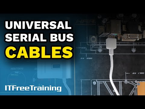 Universal Serial Bus (USB) - CompTIA A+ 220-1101 – 1.3