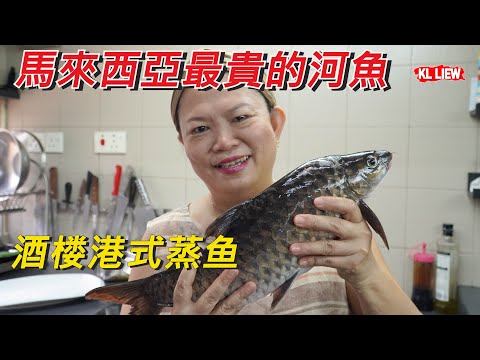 酒楼港式蒸鱼,馬來西亞最貴的河魚忘不了Empurau,现在住家也可养殖了