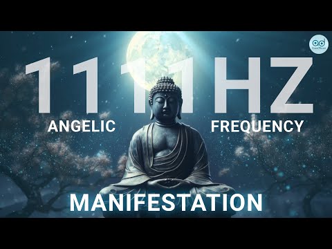 1111Hz Manifestation Frequency | Angelic Code Activation & Raise Your Vibration | AnantDhvani