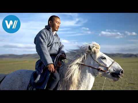 Mongolei, der Pferderetter (ARTE 360° Reportage)