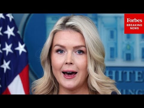 BREAKING NEWS: Karoline Leavitt Holds Briefing Following Gabbard FBI Raid, DHS Funding Controversy