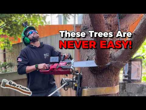 I HATE This Type of Tree SO MUCH!!