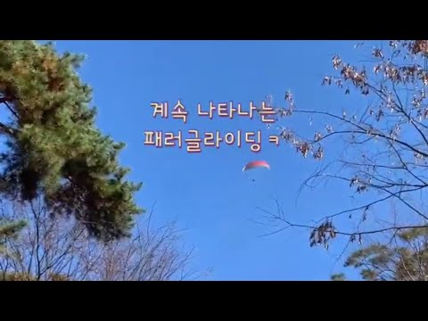 베란다정원, 용인 자연휴양림, 베이커리 카페 / 위드로그 2025년 11월 2주