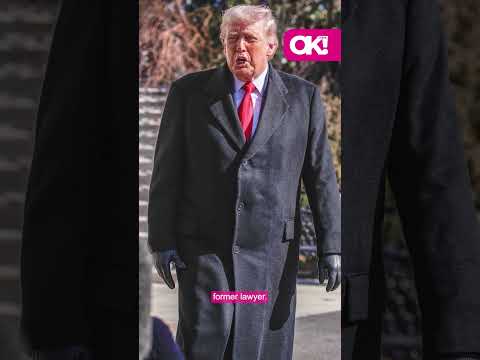 Ghislaine Maxwell's Brother Denies She Asked Trump for Pardon