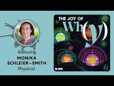 Can Quantum Gravity Be Created in the Lab? | PODCAST: The Joy of Why