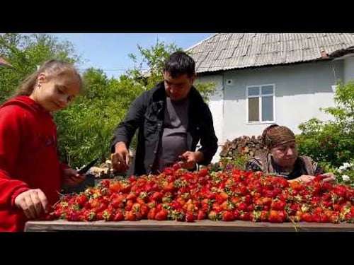 The Secret to Grandma’s "Golden" Rice Pilaf! (Anti-Inflammatory & Gut Healthy Recipe) 👵✨