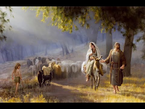 Live: Christmas Concert 2025