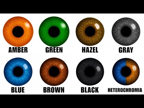 Every Hidden Defect of Your Eye Color Explained