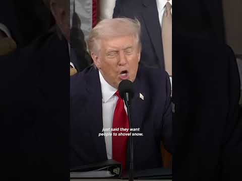 'Nice guy, speak to him a lot': Trump's backhanded praise for 'communist mayor' Mamdani