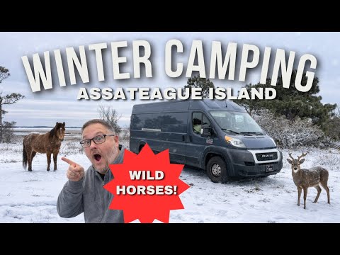 WINTER Camping in AMAZON PRIME VAN!!
