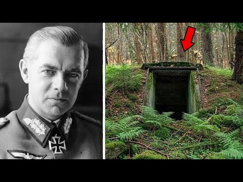 German Commander Vanished in 1944 β 80 Years Later, His Secret Underground Shelter Was Revealed..