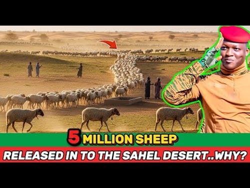 What’s REALLY Behind Traoré’s 5 Million Sheep in the Sahel Desert?