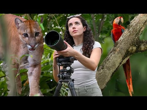 Filming Wildlife in Costa Rica: Jungle & Cloud Forest