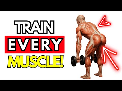 8 Rare Dumbbell Exercises That Burn Fat Fast and Build Serious Muscle at the Same Time