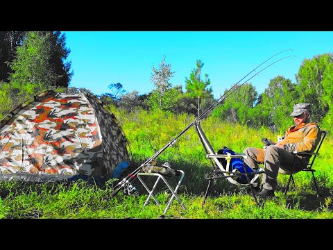 Алтай и его природа/В деревню с отдыхом/Вездеходы своими руками/DJI mini 3 pro