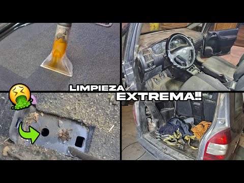 hacemos una LIMPIEZA EXTREMA a un COCHE muy ASQUEROSO🤮🤮