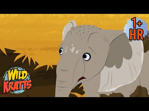 Baby Elephant in Danger! 🐘 Race to the Rescue! Wild Kratts | Scholastic Kids