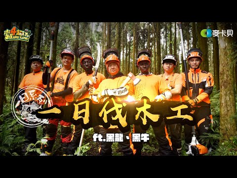 《一日系列第二百四十四集》邰哥與黑龍黑牛來挑戰伐伐伐伐伐木工🪓什麼!要三十年?! - 一日伐木工ft.黑龍 黑牛