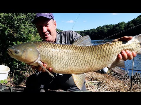 Fishing for Amur on the forest lake!