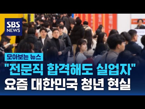"인생 바쳐 전문직 합격해도 실업자"…요즘 대한민국 청년 현실 / SBS / 모아보는 뉴스