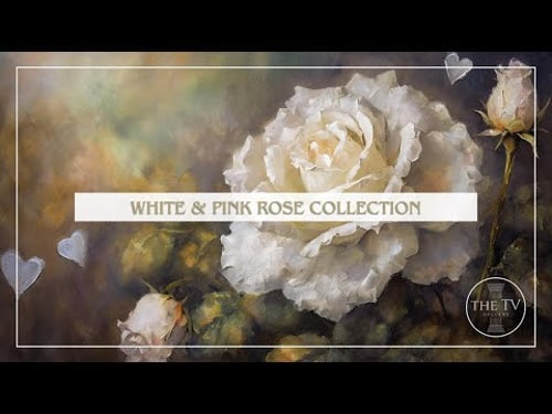 Vintage White & Pink Rose Valentine Art | 4K TV Frame Art Screensaver | TV Inspired Art | 6 scenes