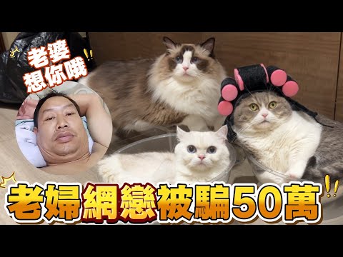 貓仔配音模仿東張西望66歲yoyo情騙事件笑到裂開🤣網戀你又知幾多呢!俗稱電信詐騙 網民:做YouTuber唔一定係好人!